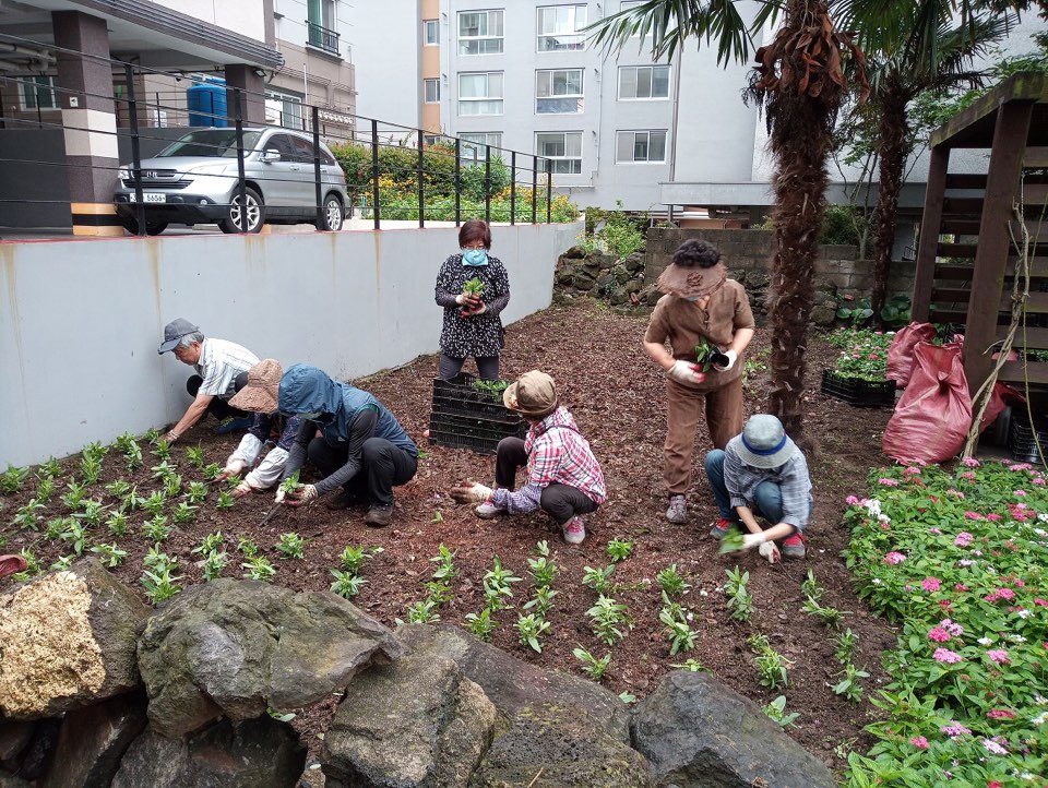 7.8이도1동새마을작은도서관 공한지 계절화 식재 .jpg